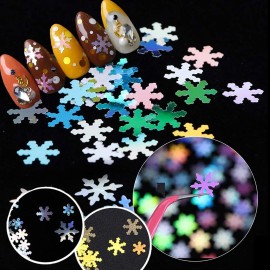 EBANKU 48 Color Holographic Snowflake Nail Sequins, Iridescent Snowflake Flake Nail Glitter Laser Sparkly Craft Glitter, Christmas Gift for Women Girl (4 box/48 Grids) EBANKU 48 Color Holographic Snowflake Nail Sequins, Iridescent Snowflake Flake Nail Glitter Laser Sparkly Craft Glitter, Christmas Gift for Women Girl (4 box/48 Grids)