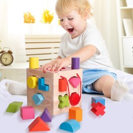 BESTAMTOY Shape Sorter Toy My First Wooden 12 Building Blocks Geometry Learning Matching Sorting Gifts Didactic Classic Toys for Toddlers Baby Kids 31 Years Old Up Fourteen Hole Toy