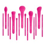 Makeup Brush Set, 15 Piece Quality Makeup Brushes, Premium Synthetic Make Up Brushes for Foundation Powder Blush Highlighter Concealer Makeup Brush Kit for Travel, Hot Pink
