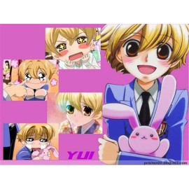 Ouran High School Host Club Pink Rabbit Plush Doll 16 Bun Rabbit of Haninoduka Mitsukuni