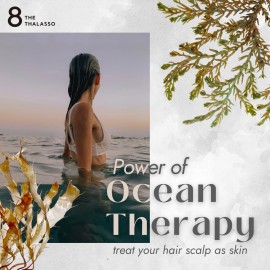 8 THE THALASSO Natural Hair Conditioner for Normal to Oily Hair Women & Men, Moisturizing Hair Care with Organic Stem Cell & Deep Sea Water from Japan, Silicone & Sulfate Free, SMOOTH, 16.06 Fl Oz