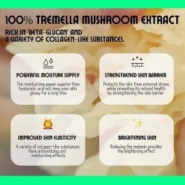 CHASIN\' RABBITS Magic Beauty Shroom Essence | Korean Skin Care Nourishing and Hydrating Essence | Boosting Skin Care Essence with Tremella Mushroom Extract for Sensitive, Dry Skin (200mL/6.76 fl oz) CHASIN\' RABBITS Magic Beauty Shroom Essence | Korean Skin Care Nourishing and Hydrating Essence | Boosting Skin Care Essence with Tremella Mushroom Extract for Sensitive, Dry Skin (200mL/6.76 fl oz)