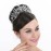 SAMKY Bride\'s Crystal Wedding Tiara Crown Bridal Pageant Headpiece Hair Accessories for Woman