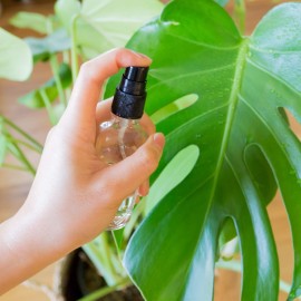 Youngever 10 Pack Empty Clear Glass Spray Bottles, 4 Ounce Refillable Container for Essential Oils, Cleaning Products, or Aromatherapy Youngever 10 Pack Empty Clear Glass Spray Bottles, 4 Ounce Refillable Container for Essential Oils, Cleaning Products, or Aromatherapy