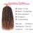 Leeven Short Passion Twist With Bohemian Hair 12 Inch 7 Packs Ombre Brown Pre-twisted Crochet Passion Twists Synthetic Braiding Hair Curly Ends Braids Twist Hair for Women 12 Roots/Pack T30