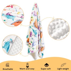 Baby Mink Blankets, Dinosaur Toddler Blanket for Boys Girls, Soft Newborn Blanket with Dotted Backing, Double Layer, Crib Receiving Blanket for Nursery, Shower Gifts, 30 X 40 Inches