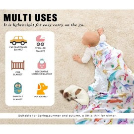 Baby Mink Blankets, Dinosaur Toddler Blanket for Boys Girls, Soft Newborn Blanket with Dotted Backing, Double Layer, Crib Receiving Blanket for Nursery, Shower Gifts, 30 X 40 Inches