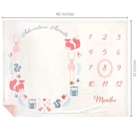 Hudson Baby Unisex Baby Plush Holiday and Milestone Blanket, Girl Adventure Awaits, One Size