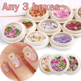 AKOAK 3 Boxes 3D Flower Nail Stickers, Wood Pulp Nail Art Charm, Holographic Simulation Flower Pulp Nail Art Charm, Color Mixed Natueal Flower Leaves Design Nail Decals DIY Craft Wood Pulp Pieces AKOAK 3 Boxes 3D Flower Nail Stickers, Wood Pulp Nail Art Charm, Holographic Simulation Flower Pulp Nail Art Charm, Color Mixed Natueal Flower Leaves Design Nail Decals DIY Craft Wood Pulp Pieces