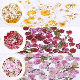 AKOAK 3 Boxes 3D Flower Nail Stickers, Wood Pulp Nail Art Charm, Holographic Simulation Flower Pulp Nail Art Charm, Color Mixed Natueal Flower Leaves Design Nail Decals DIY Craft Wood Pulp Pieces AKOAK 3 Boxes 3D Flower Nail Stickers, Wood Pulp Nail Art Charm, Holographic Simulation Flower Pulp Nail Art Charm, Color Mixed Natueal Flower Leaves Design Nail Decals DIY Craft Wood Pulp Pieces