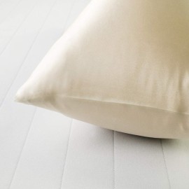 LCBD Silky Satin Toddler Pillowcases Set of 2, Super Soft Travel Pillow Covers, Small Kids Pillow Cases with Envelope Closure, 13x 18, Champagne