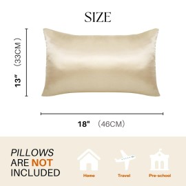 LCBD Silky Satin Toddler Pillowcases Set of 2, Super Soft Travel Pillow Covers, Small Kids Pillow Cases with Envelope Closure, 13x 18, Champagne