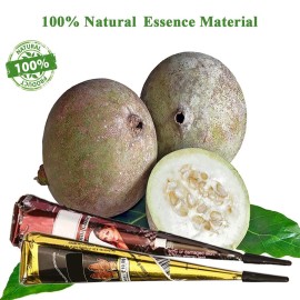 Tizoerly Temporary Tattoos Kit, 4Pcs Semi Permanent Tattoo Paste Cones, India Body DIY Art Painting for Women Men Kids, Freehand Plaste with 3 Colors, 20 Adhesive Stencil,1 Bottle,4 Nozzles