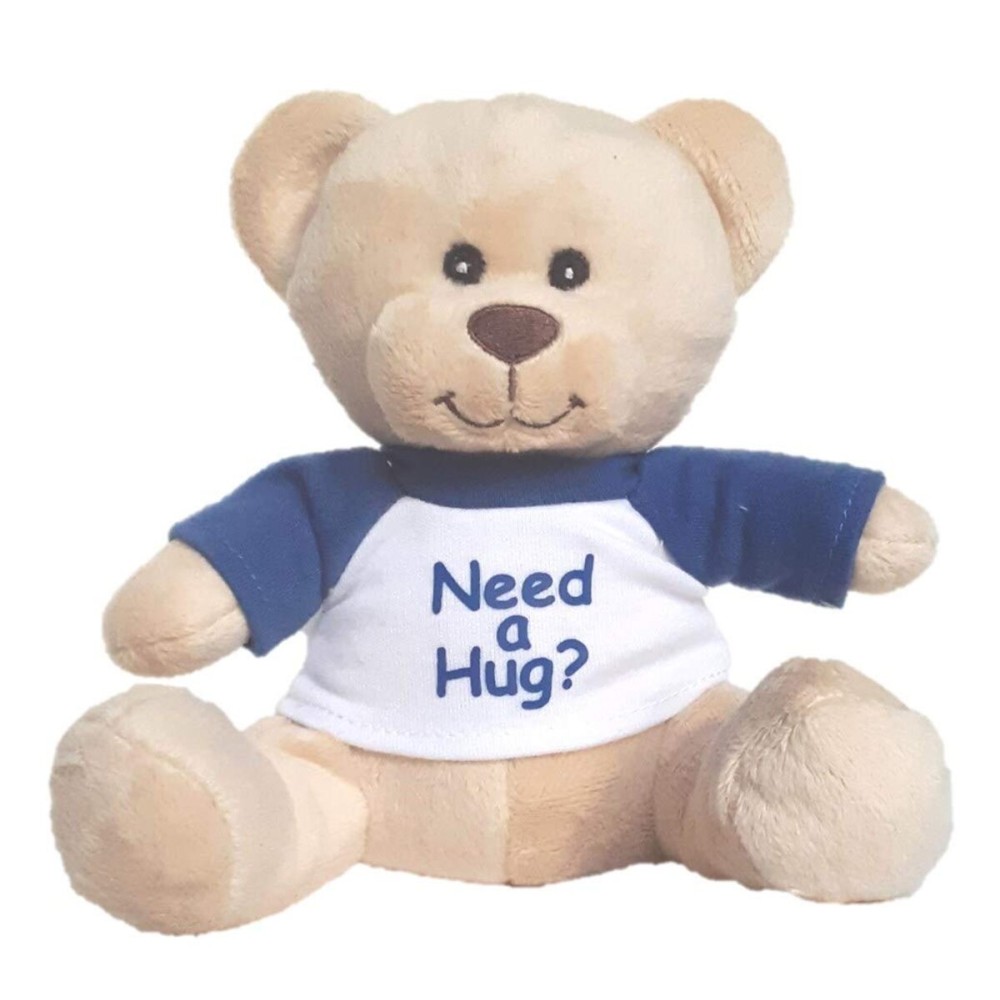 Hug-a-BooBoo Super Cute and Cuddly 6 Inch Plush Mini Teddy Bear from with Need a Hug? Message T-Shirt. Great for Gift, Gift Basket