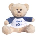 Hug-a-BooBoo Super Cute and Cuddly 6 Inch Plush Mini Teddy Bear from with Need a Hug? Message T-Shirt. Great for Gift, Gift Basket
