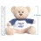 Hug-a-BooBoo Super Cute and Cuddly 6 Inch Plush Mini Teddy Bear from with Need a Hug? Message T-Shirt. Great for Gift, Gift Basket
