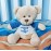 Hug-a-BooBoo Super Cute and Cuddly 6 Inch Plush Mini Teddy Bear from with Need a Hug? Message T-Shirt. Great for Gift, Gift Basket