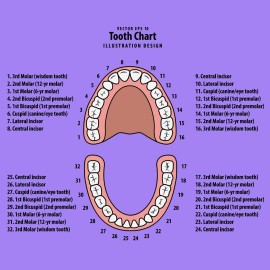 Baby Tooth Box Keepsake Box for Kids Teeth Storage Holder Baby Teeth Organizer Tooth Fairy Box with Baby Fetal Hair Container and Tweezer for Keeping The Child Memory (Purple-pink)