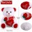 Valentine Bear Dog Plush Stuffed Animals Gift 10 Inch Cute Plush Animals Heart Holding Soft Stuffed Toy for Valentine, Mother\'s Day, Wedding, Anniversary, Birthday(White Bear)