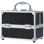 FRENESSA Makeup Case Organizer Cosmetic Portable Makeup Box Train Case with 4 Trays Locking Storage Nail Kits Box Make Up Artist Travel Case Professional Hard Vanity Organizer Black