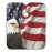 American Flag With Eagle Barber Cape Professional Salon Cape Haircut Apron Hair Cut Cape Waterproof, 55x65