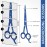 Utopia Care Hair Cutting and Hairdressing Scissors 6.5 Inch, Premium Stainless Steel Shears with Smooth Razor and Sharp Edge Blades for Salons, Men, Women and Kids, Blue