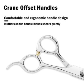 Thinning Shears, Fcysy 6 Professional Sharp Hair Thinning Scissors, 440c Stainless Steel Barber Texturizing Shears, Salon Haircut Blending Shears for Cutting Hair for Man Woman Kids