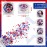 12 Boxes 4th of July Nail Glitter Independence Day Star Nail Sequins Holographic Red Blue Mixed Star Hollow Hexagon Circle Nail Decal 3D for Women Girl Nail Eye Face Body Decor (Bright Style)