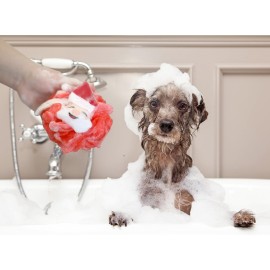 Iconikal Christmas Character Exfoliating Loofahs, 3-Pack, Santa, Reindeer, Snowman