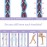 Athbavib 20-30mmHg Thigh High Compression Stockings for Women & Men, Closed Toe Medical Compression Socks Graduated Support Compression Sock for Varicose Veins Swelling Treatment