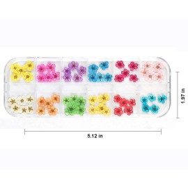 LPOne 60 pcs 3D Nails Dried Flowers Resin Accessories Mini Natural for Nail Art Supplies Decal Mixed Accessory Starry Flower Stickers Colorful Dry Decals(12 Colors)., 2.8 x 0.75 0.67 inches