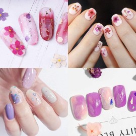 LPOne 60 pcs 3D Nails Dried Flowers Resin Accessories Mini Natural for Nail Art Supplies Decal Mixed Accessory Starry Flower Stickers Colorful Dry Decals(12 Colors)., 2.8 x 0.75 0.67 inches