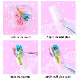 LPOne 60 pcs 3D Nails Dried Flowers Resin Accessories Mini Natural for Nail Art Supplies Decal Mixed Accessory Starry Flower Stickers Colorful Dry Decals(12 Colors)., 2.8 x 0.75 0.67 inches