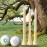Dsenfurn 250 Pack Professional Bamboo Golf Tees 2-3/4 Inch - Stronger Than Wooden Golf Tees Biodegradable & Less Friction (Nature, 2-3/4)