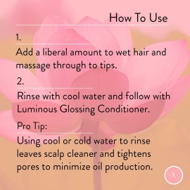 Strength x Beauty - Pure No Sulfate Shampoo - Deeply Cleansing Shampoo for Nourishing Healthy, Full-Bodied Hair - Sulfate-Free Vegan Formula w/Keravis PE (3.4 oz. travel | try me size)