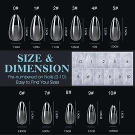 Gelike ec Nail Tips Almond for Salon: 552 Pcs Medium Soft Gel Nail Tips for Manicure 12 Sizes Gelike ec Nail Tips Almond for Salon: 552 Pcs Medium Soft Gel Nail Tips for Manicure 12 Sizes