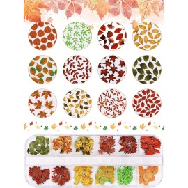 Kalolary 2 Boxes Maple Leaves Nail Art Sequins, 3D Fall Leaves Stickers for Acrylic Nails, Maple Leaves Wood Pulp Glitter Flakes for Autumn Nail Art Decorations Kalolary 2 Boxes Maple Leaves Nail Art Sequins, 3D Fall Leaves Stickers for Acrylic Nails, Maple Leaves Wood Pulp Glitter Flakes for Autumn Nail Art Decorations