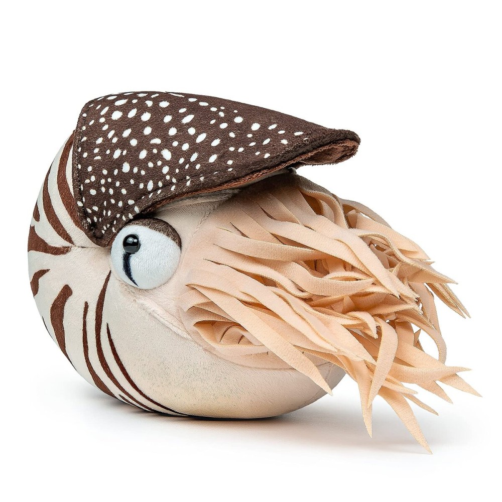 ZHONGXIN MADE Simulation Nautilus Plush Toy - Lifelike Real Life Chambered Nautilus Stuffed, Animal Toy Soft Sea Life Toys Gifts for Kids, 8 Inches