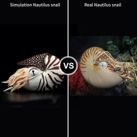 ZHONGXIN MADE Simulation Nautilus Plush Toy - Lifelike Real Life Chambered Nautilus Stuffed, Animal Toy Soft Sea Life Toys Gifts for Kids, 8 Inches
