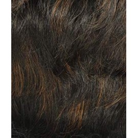 Janet Collection Lavish 100% Virgin Human Hair Wig - EMILIA (DYF1B/30)