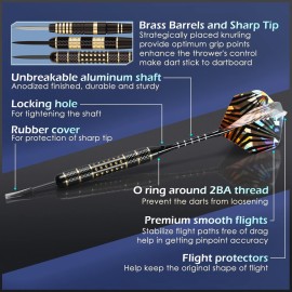 LANNEY Darts Metal Tip, Steel Tip Darts Set 20 Grams, 24 Grams and 26 Grams Professional Darts for Dartboard with Aluminum Shafts, Brass Barrels, Extra Flights, Sharpener Tool Kit, Carrying Case