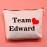 BLUPARK Vampire Lover Gift Team Edward Cosmetic Bag Fans Gift Birthday Gift for Her (Team Edward)