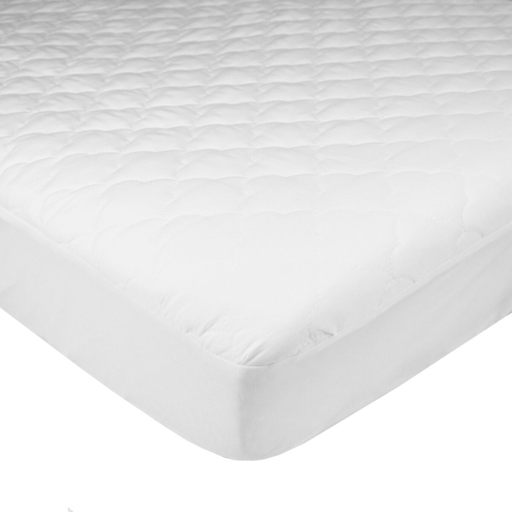 TL Care Waterproof Fitted Mini Crib Mattress Protector 38 x 24 - Quilted, Noiseless, Ultra-Soft & Breathable Pack n Play and Mini Crib Mattress Cover