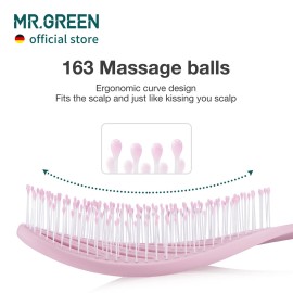 MR.GREEN Hollow Out Hair Brush Scalp Massage Combs Hair Styling Detangler Fast Blow Drying Detangling Tool For Wet Dry Curly Hair (Pink)