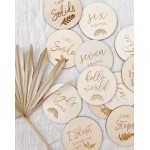 Baby Monthly Milestone Wooden Discs 12 Double Sided (24 Designs) Cards, Hello World Sign, Newborn Photo Props, Welcome Announcement, Hospital Birth Gift, Pregnancy Journey, Age Blocks