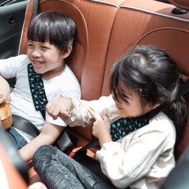 Accmor Car Seat Straps Shoulder Pads for Baby Kids,Soft Seat Belt Covers for Children, Car Seat Strap Covers for Girls Boys