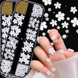JERCLITY 2 Boxes 3D Flowers for Nails White Flower Nail Charms Mixed Size Nail Jewelry Pearl Nail Charms for Acrylic Nails Art with Tweezers And Picker Pencil JERCLITY 2 Boxes 3D Flowers for Nails White Flower Nail Charms Mixed Size Nail Jewelry Pearl Nail Charms for Acrylic Nails Art with Tweezers And Picker Pencil