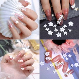 JERCLITY 2 Boxes 3D Flowers for Nails White Flower Nail Charms Mixed Size Nail Jewelry Pearl Nail Charms for Acrylic Nails Art with Tweezers And Picker Pencil JERCLITY 2 Boxes 3D Flowers for Nails White Flower Nail Charms Mixed Size Nail Jewelry Pearl Nail Charms for Acrylic Nails Art with Tweezers And Picker Pencil