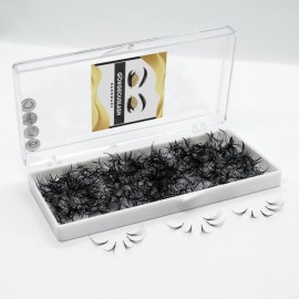 1000 Premade Lash Fans. 10D, 8D, 7D, 6D, 5D, 4D, 3D. Eyelash extensions, Handmade! (6D Curl D - 1000 Fans, 12mm)