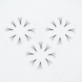 1000 Premade Lash Fans. 10D, 8D, 7D, 6D, 5D, 4D, 3D. Eyelash extensions, Handmade! (6D Curl D - 1000 Fans, 12mm)